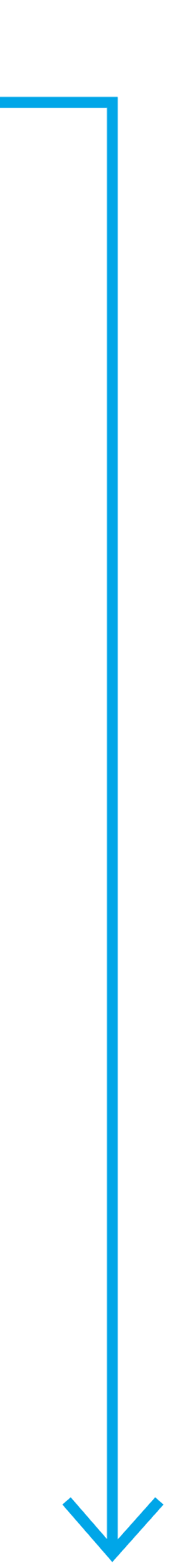 バイパスライン