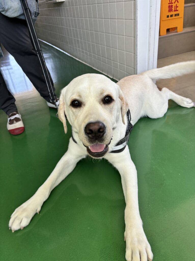 ルカ専務出勤♪｜株式会社ヤマキン