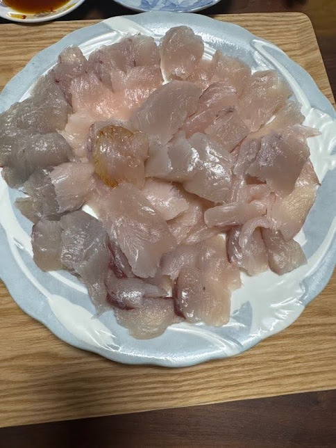 ☆海釣り部活動報告☆